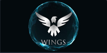 wings翼游戏